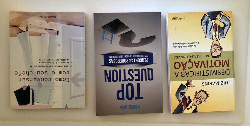 Lote de 7 livros de gestão em português