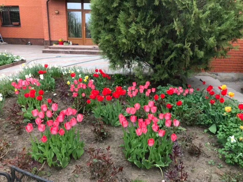 Продам розкішний будинок в центрі міста.