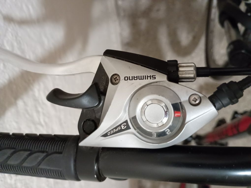 Rower crossowy Alpine Eco c20