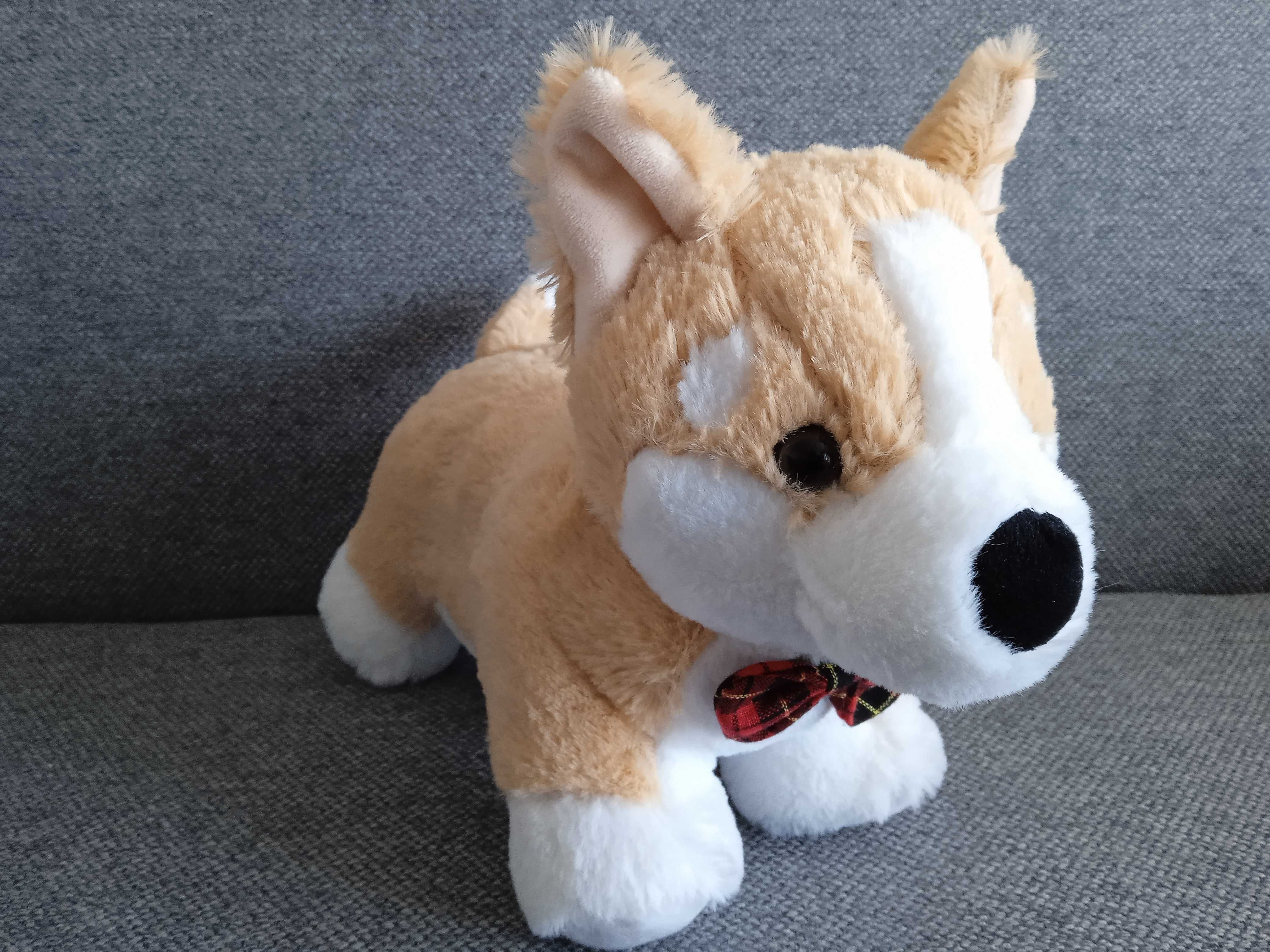 Maskotka pluszak Piesek CORGI With Snuggles Card Factory 30 cm