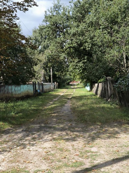 Олишівка. Міцний Будинок + 37 Соток Приватизованої Землі