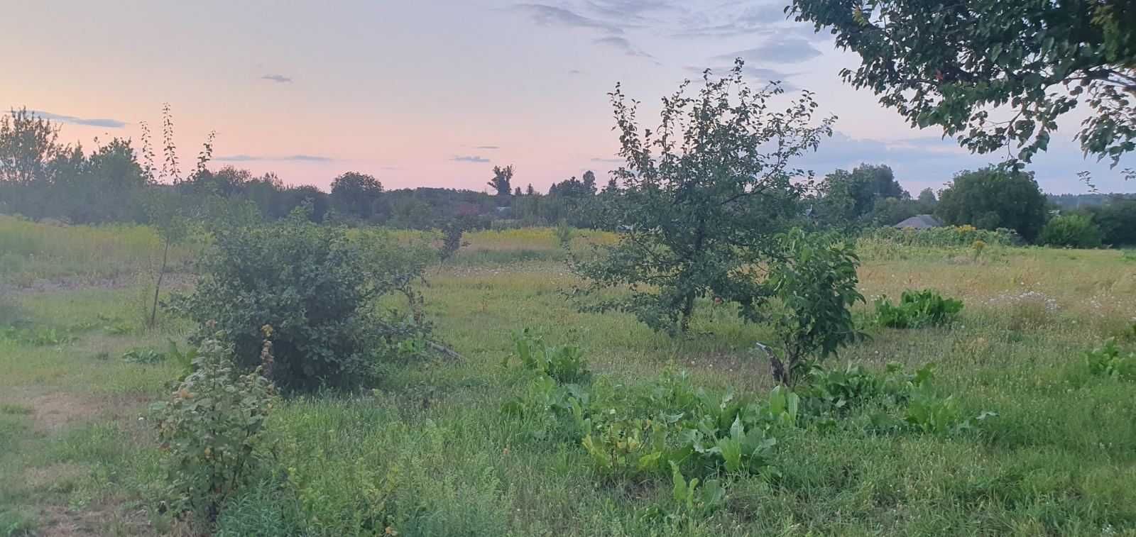 Продам будинок в центрі села