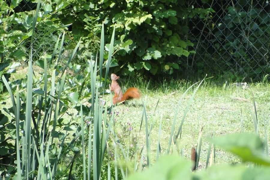 Domek Jeziora Las  Spokój Cisza   Ścieżki rowerowe Lato