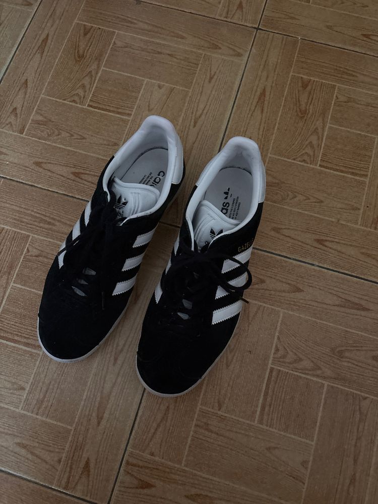Gazelle pretas novas 42