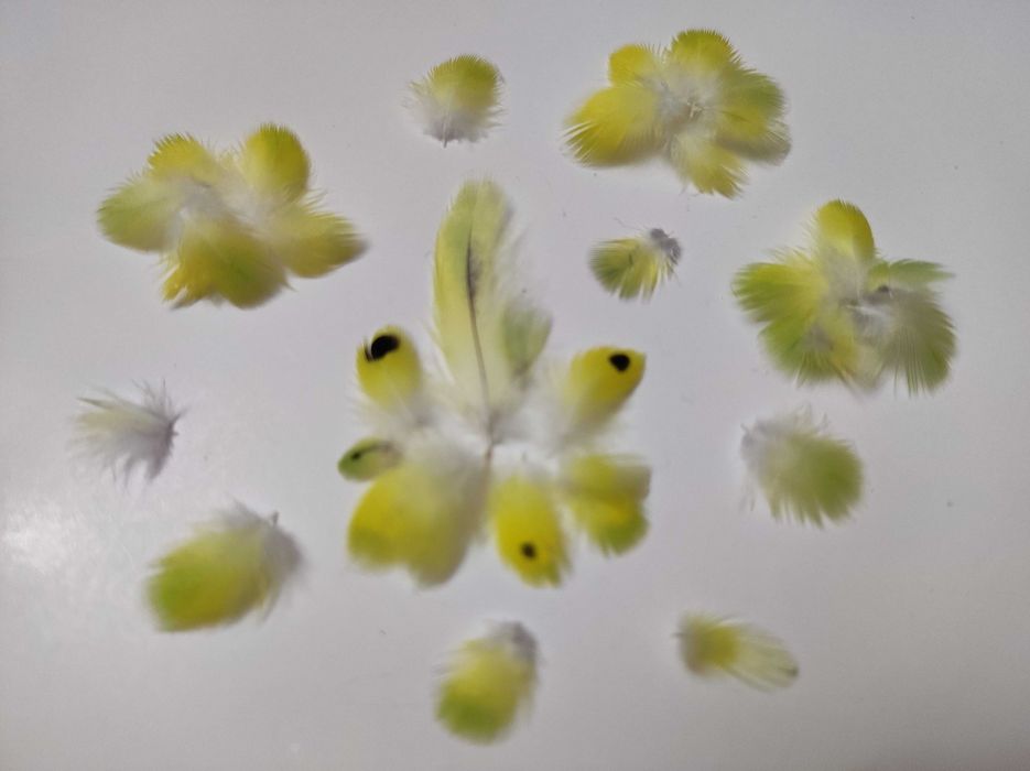 Пір’я хвилястого папуги. 500 шт., сережки з пір'я