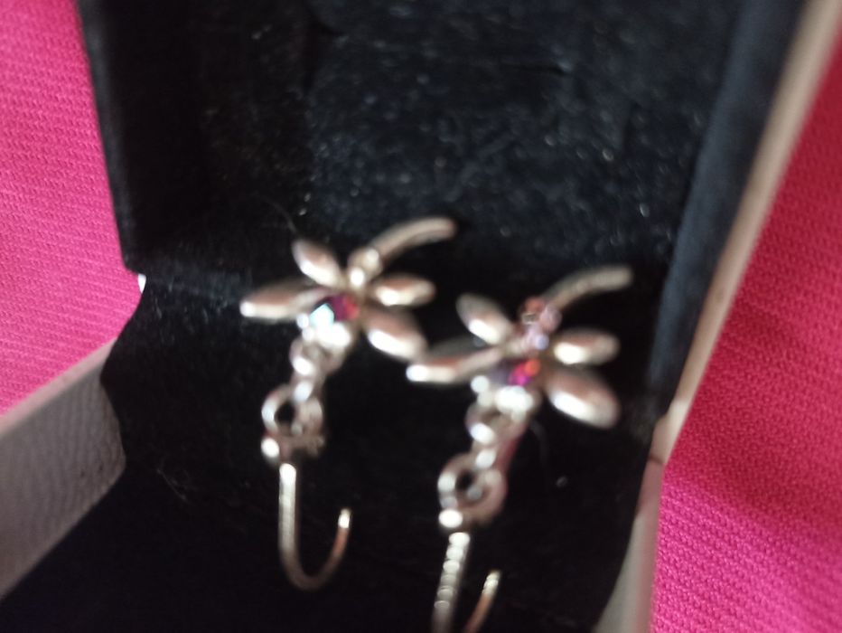 Посеребряные сережки стрекозы