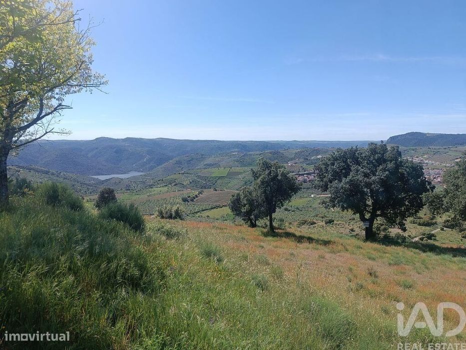 Terreno em Freixo de Espada à Cinta e Mazouco de 49572,00 m2