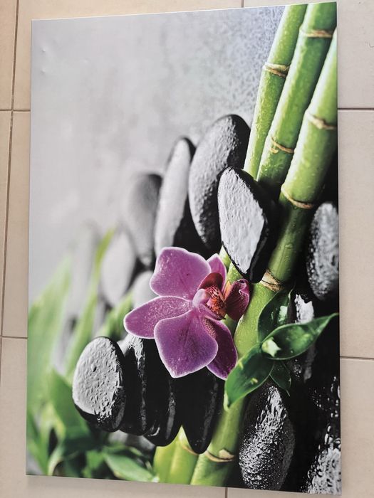 Zestaw mebli do salonu, 150 zl dab+biale fronty - 4 elem.+obraz gratis