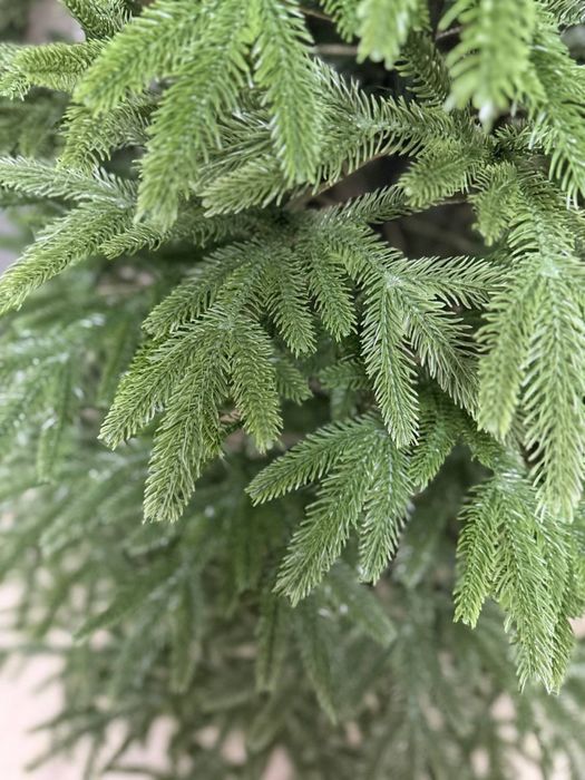 Ялинка «СМЕРЕКА»