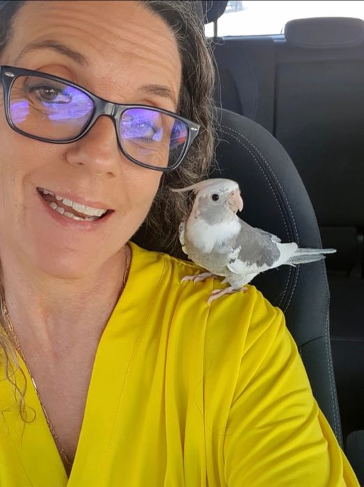 Caturras criadas à não