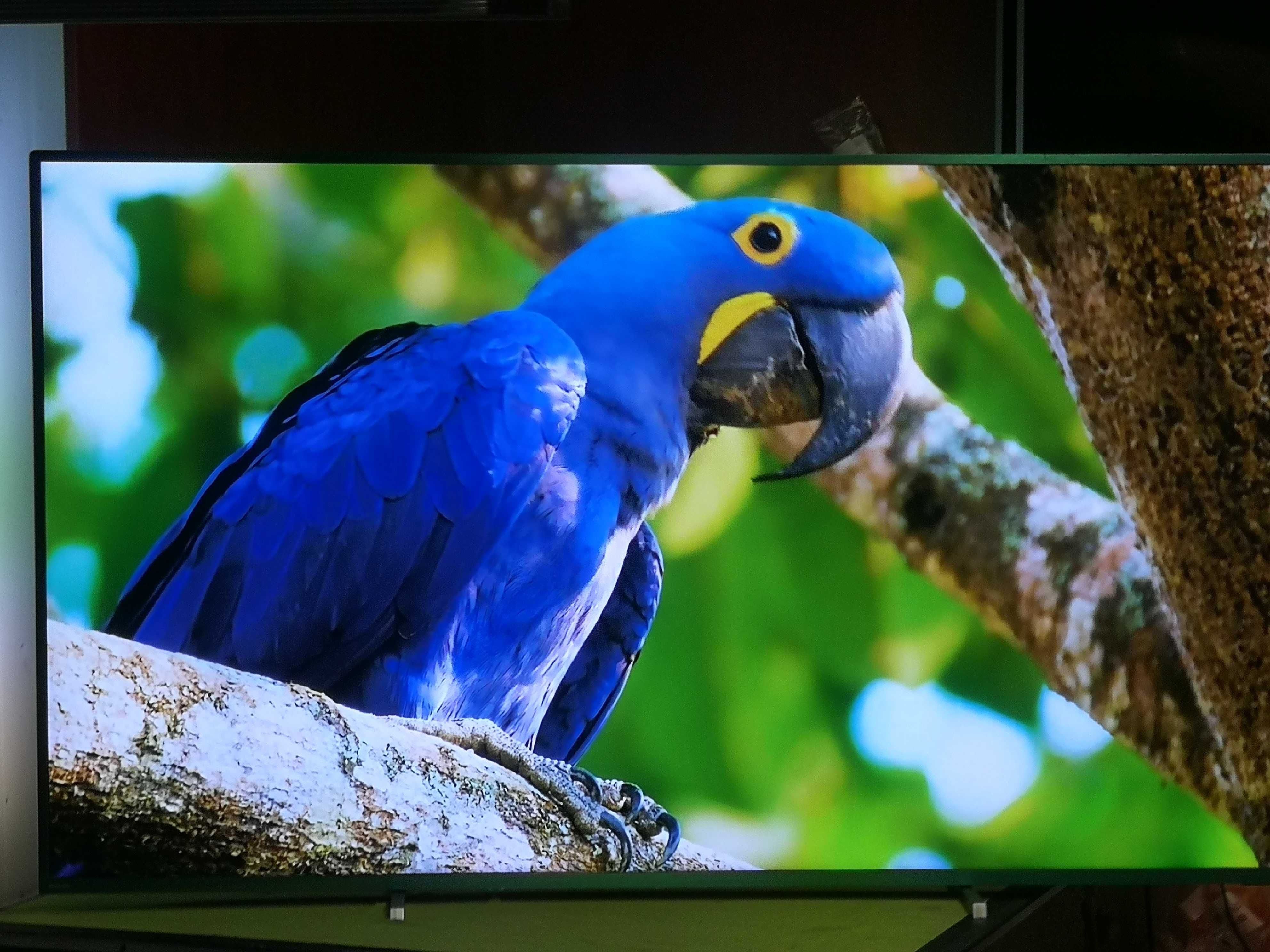 Telewizor Philips 70 cali 4K UHD, Smart wifi, Super Stan