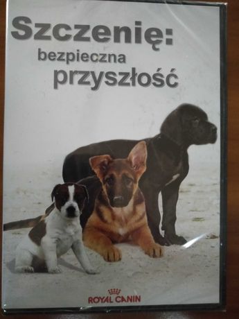 płyta dvd- szczenię bezpieczna przyszłość