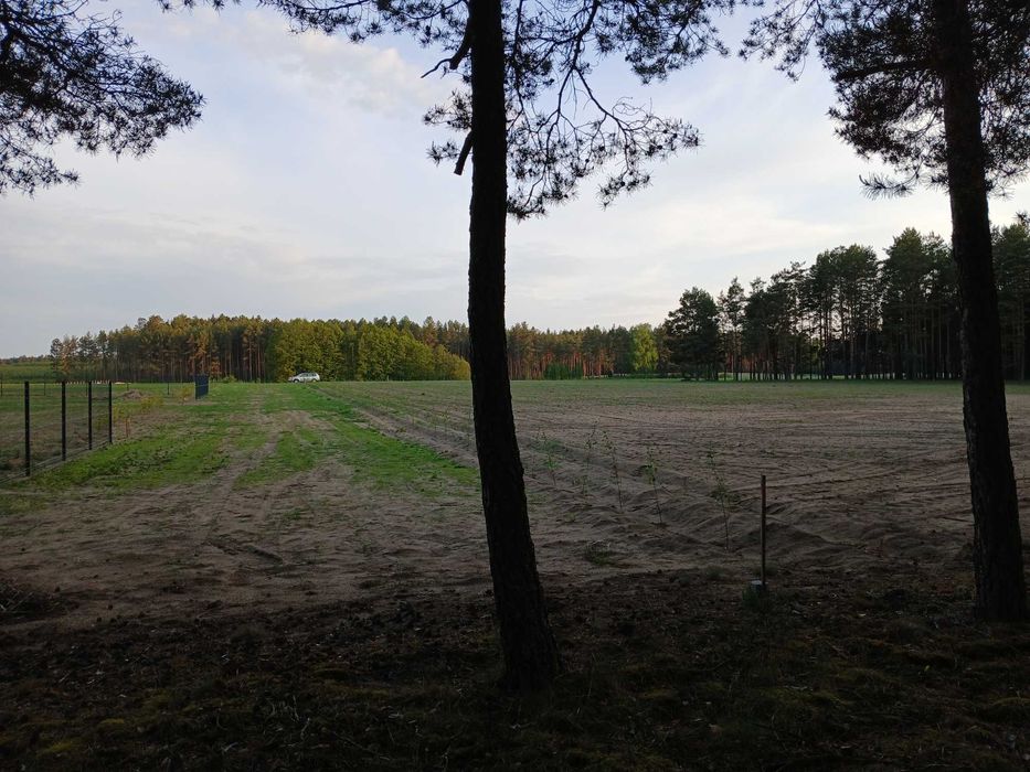 Działka  rolno budowlana 30km od miasta z lasem-zamiana