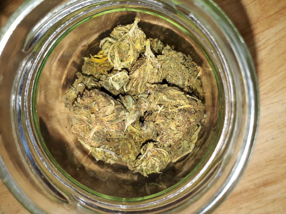 1g Trainwreck  Susz Roślinny cbt cbl cbc Raj Haj z Kaliformii! Działa!