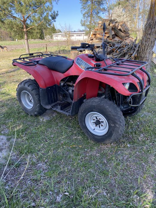 Quad 250 Yamaha Bruin