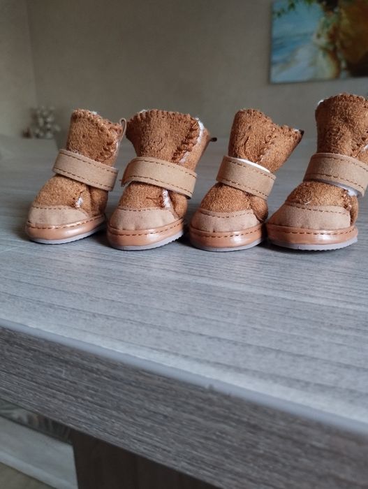 Уггі для маленьких собак та котів