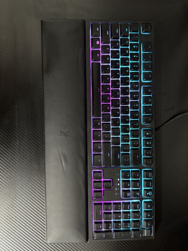 Razer oranta v2