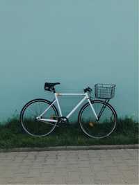 Urban Singlespeed rower do miasta