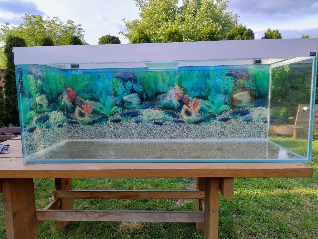 Akwarium  150x50
