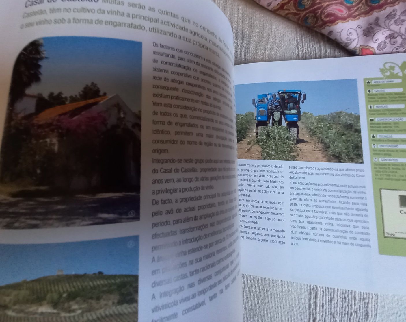 Livro sobre os vinhos da região Oeste Montejunto