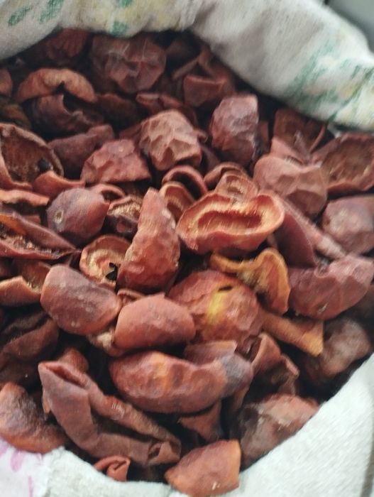 Пропоную лісові дикі груші