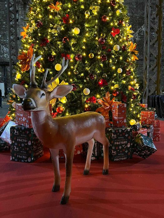 Renas para decoração de Natal