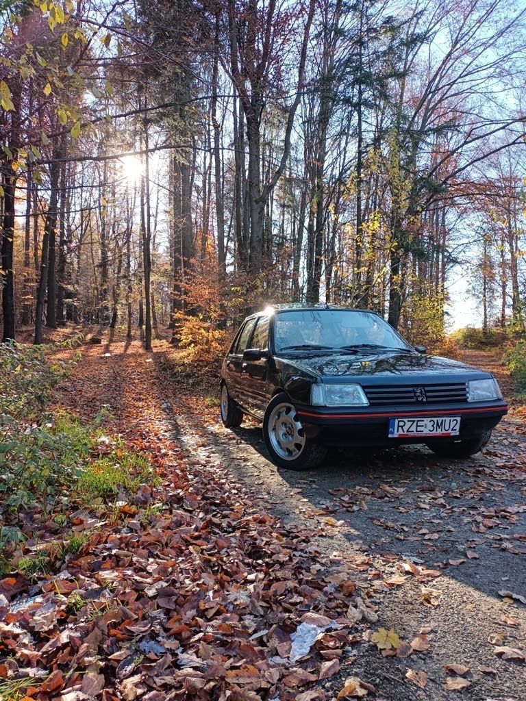 Peugeot 205 1.9D