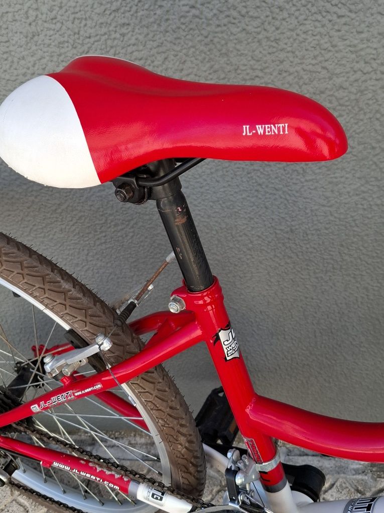 bicicleta JL-WENTI