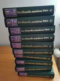 Encyklopedia PWN 10 tomów