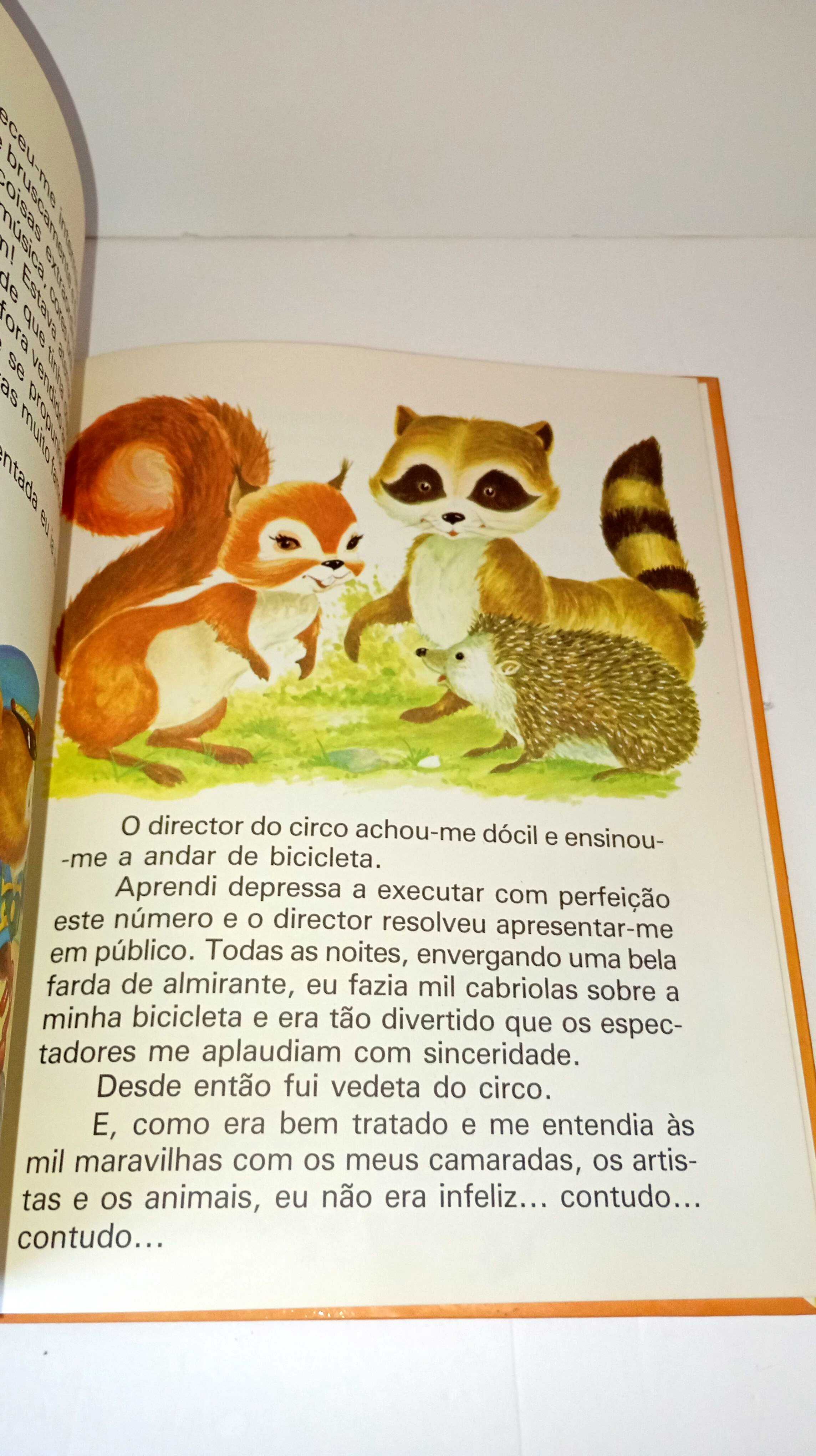 Ursinho e o seus amigos