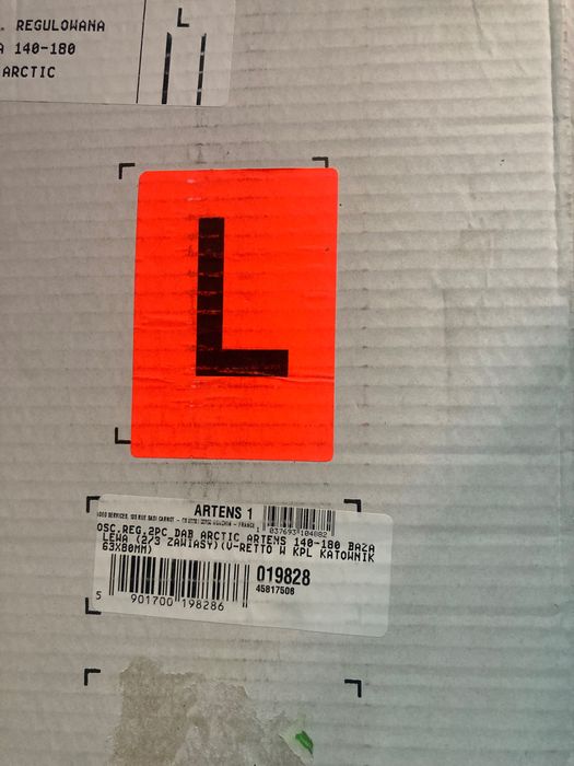 Osiernica Dąb arctic artens