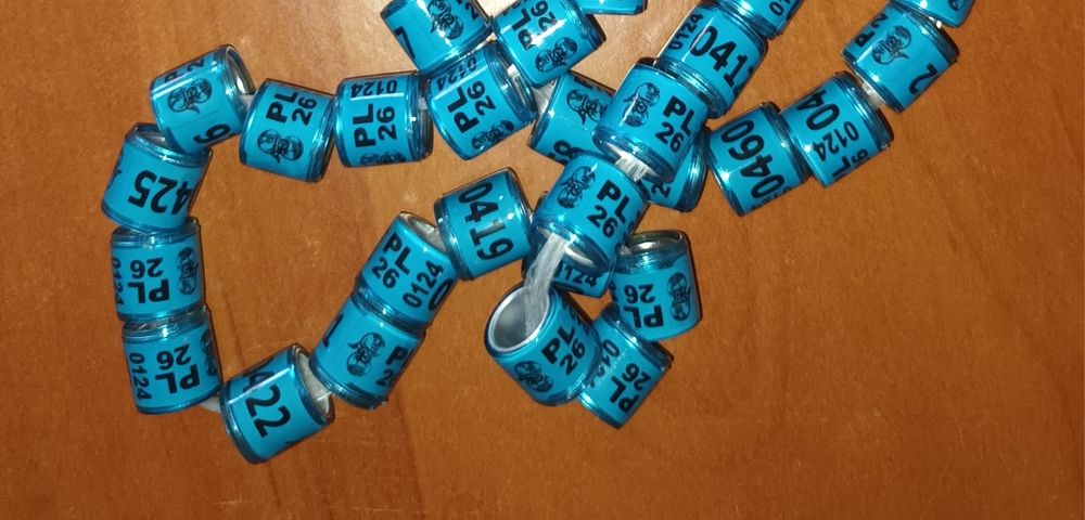 Obrączki dla gołębi PL 2026r