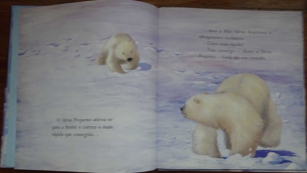 Urso Grande Urso Pequeno (Um Livro Para Tocar e Sentir)