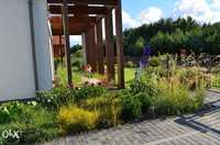 Projekt ogrodu, usługi ogrodnicze, nawadnianie, trawnik z rolki