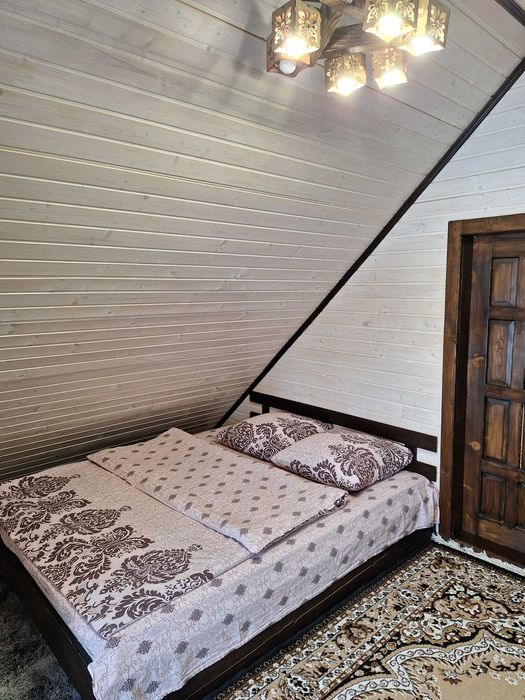 Будинок Ніч в Карпатах