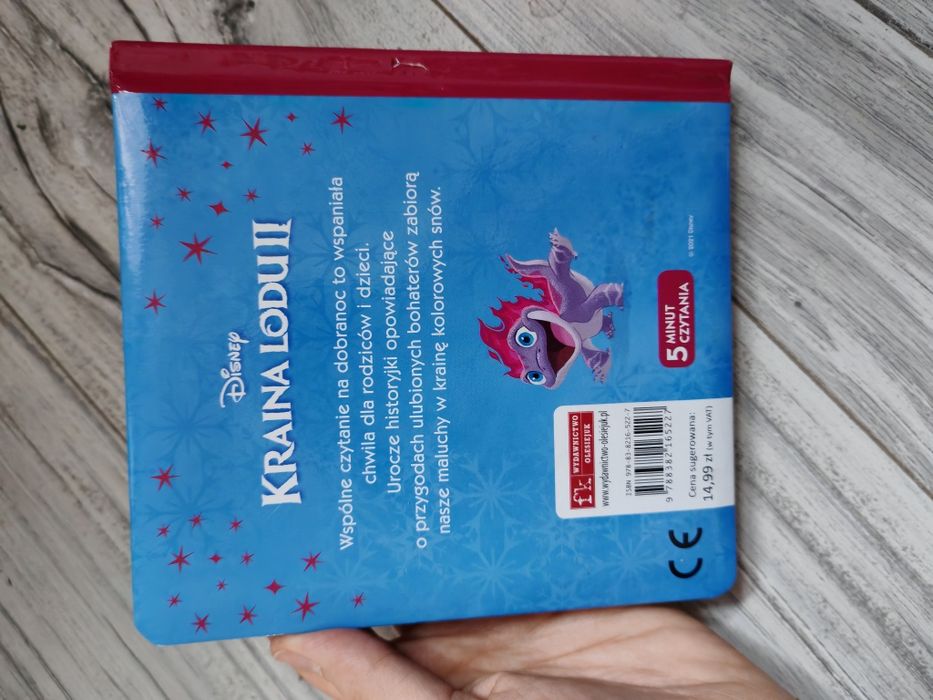 Kraina lodu zegarek, poszewka, rękawki do pływania, puzzle, książki