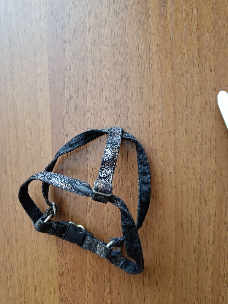 Нова шлейка для маленьких собачок і котів і памперси маленькі.
