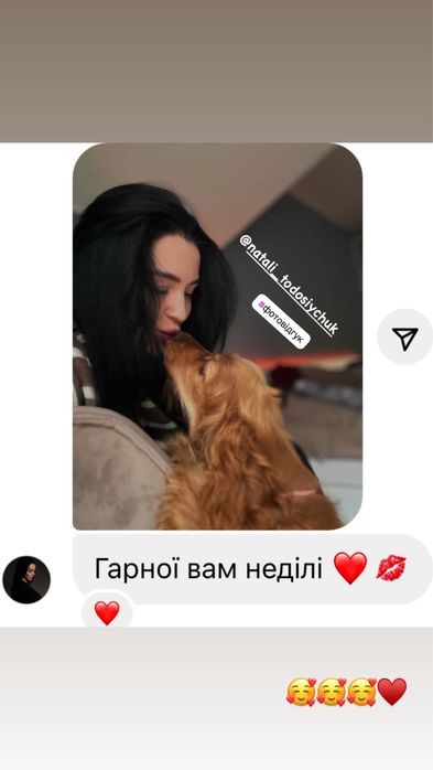 Кокерята різні окраси