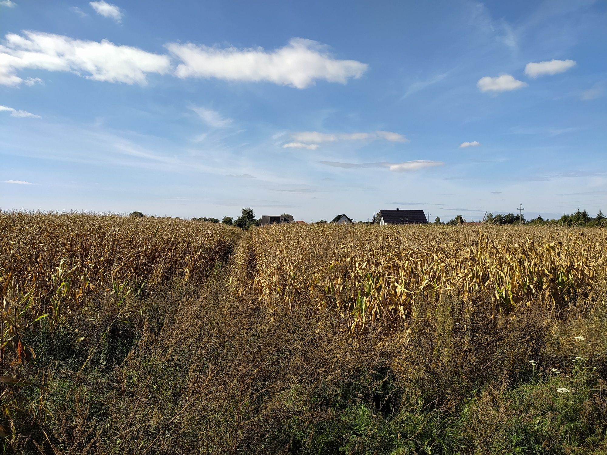 Działka przemysłowa - budowlana