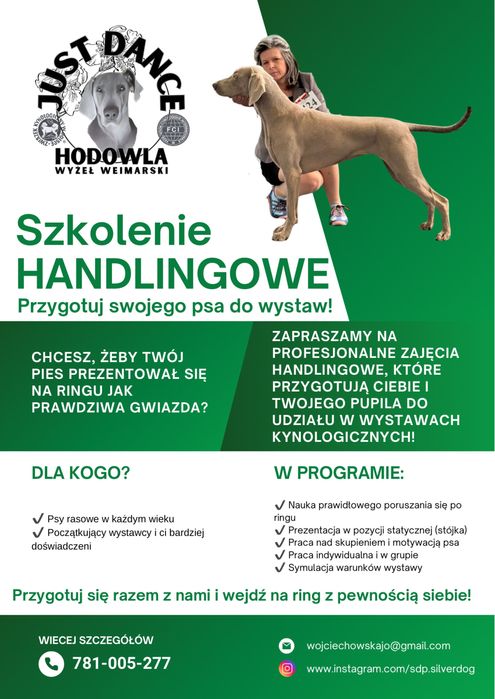 Szkolenie handlingowe