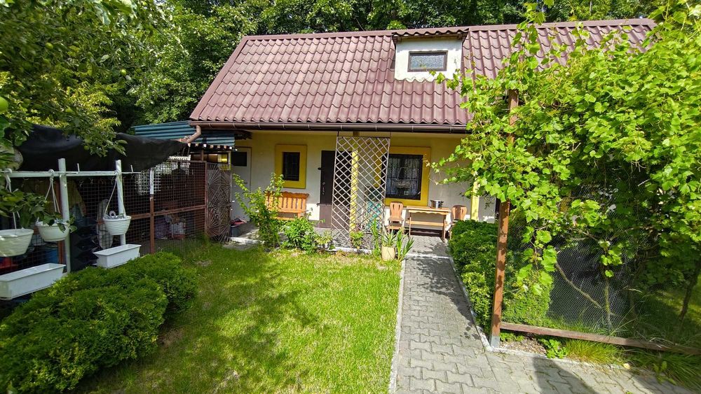 Ogródek - Zabrze - ROD - Biała róża - 538 m/2