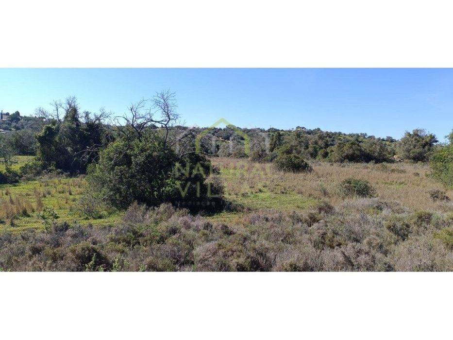 2 Terrenos Rústicos em Agostos, Santa Bárbara de Nexe, pelo Preço d...