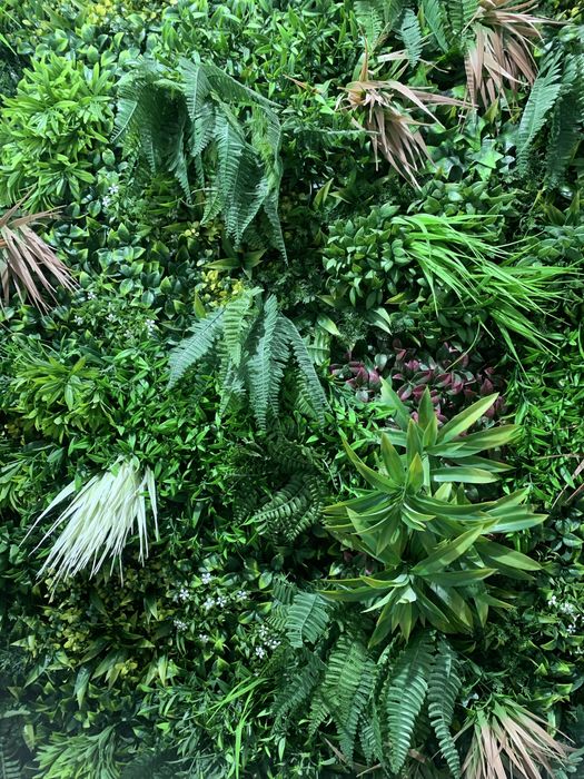 Plantas artificiais (parede)