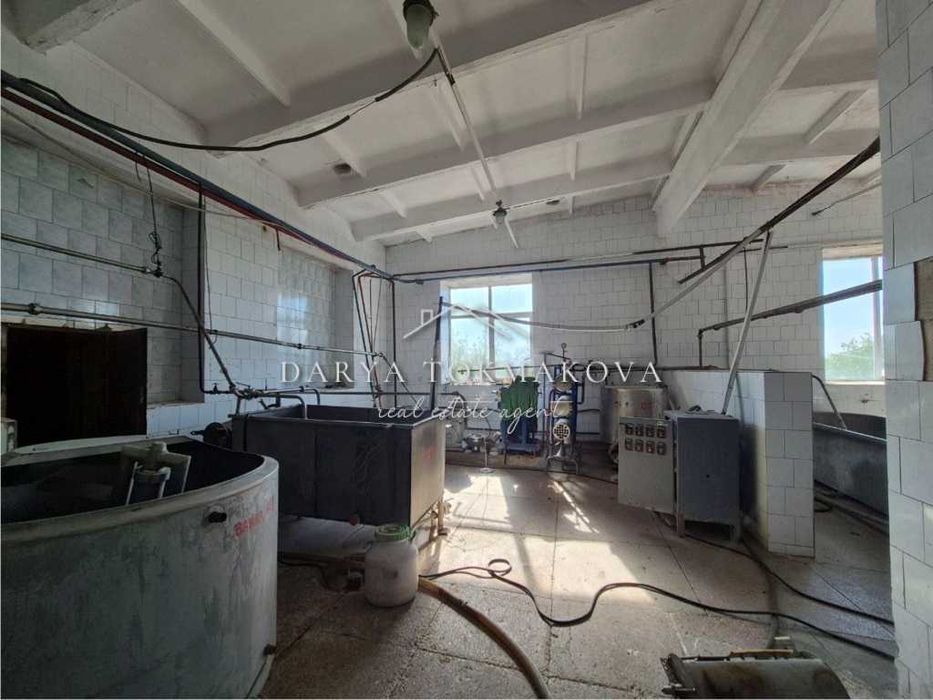 Продаж Піщанський молокозавод Без%