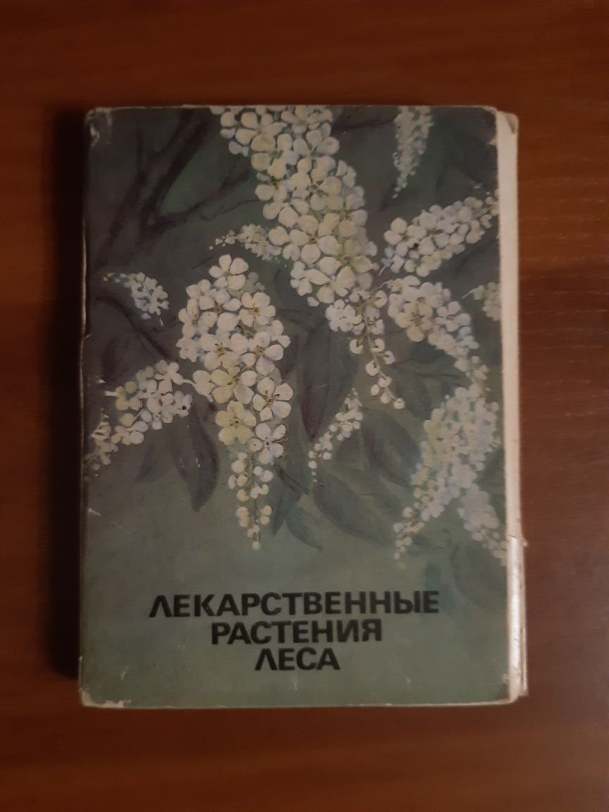 Лекарственные растения леса