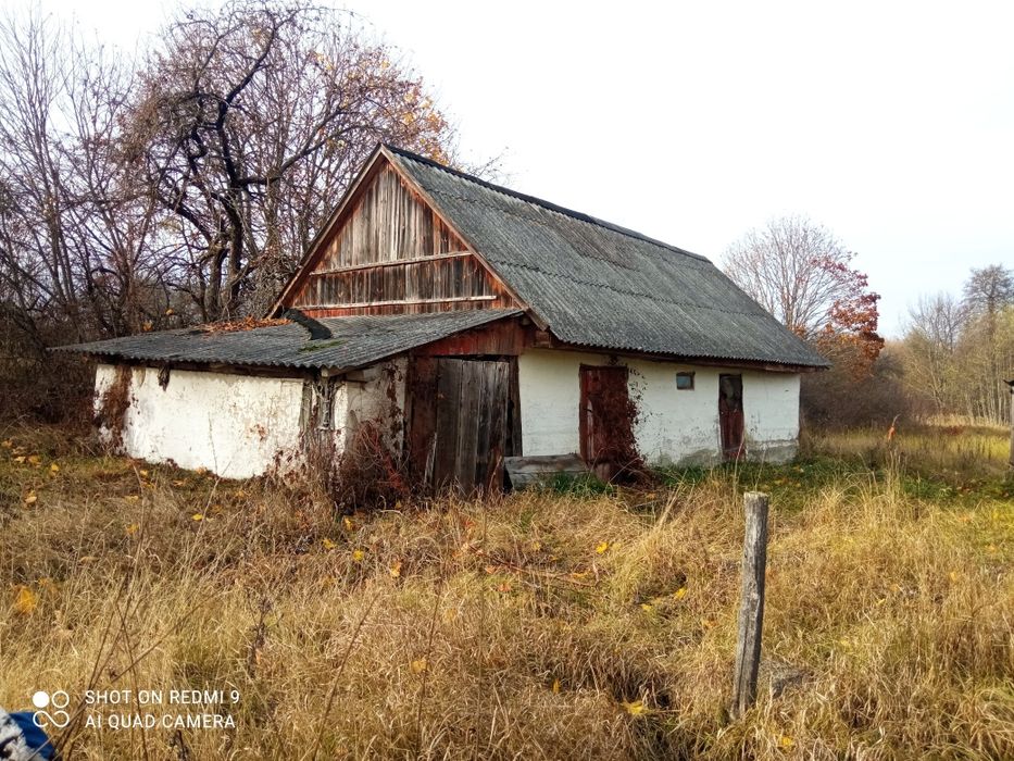 Продам будинок в Ємільчинському районі