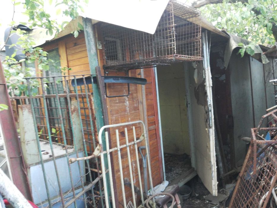 Gołebnik kurnik królnik szopa kiosk schowek garaz buda altanka dom