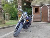 Suzuki intrunder M800
