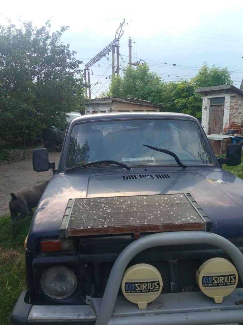 Нива под востановление