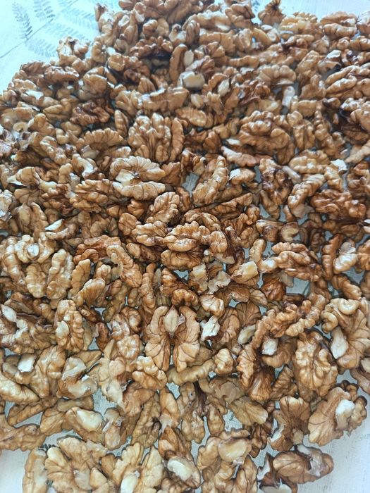 Orzechy włoskie łuskane tegoroczne -2kg